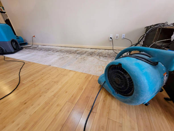 Professional Basement Flood Cleanup technician working in Duck River, TN